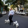 Mexico City dogwalking