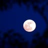 Supermoon wows sky-gazers all over the world