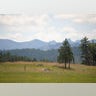 mt_rushmore_sd_e1320440566833
