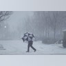 Snow falling fast in Jersey City, N.J., Thursday, Feb. 9, 2017.