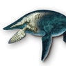 An Ancient Plesiosaur, Rebuilt