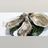 Oysters