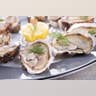 Oysters
