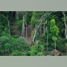 Uncontacted Brazilian Tribe
