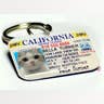 Pet License Tags