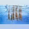 Swimming for bronze