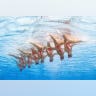 Synchro swim