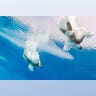 Diving for gold