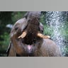 Keeping cool