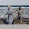 Copacabana dip