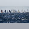 Regatta