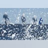 Regata splash