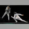 Team foil