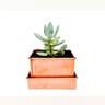 Copper Patina Planter