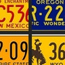 Best license plates