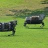robot_pack_mule