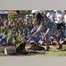 Planting a Tree