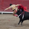 Peruvian bullfighter Andres Roca Rey is gored by a bull during a bullfight at Peru's historic Plaza de Acho bullring in Lima.