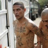 Members of the Barrio 18 gang from Izalco jail to San francisco Gotera