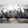 A woman feeds pigeons in front of an Orthodox cathedral on a sunny day in Almaty, Kazakhstan.