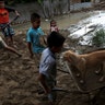 Children play with a dog next to their flooded home damaged after heavy rain in Castilla district of  Piura, northern Peru.