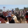 running_of_the_bulls_new_6