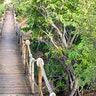 safari_lodge_bridgea