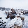 Altai Mountains. 