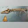 Killing in the Pliocene