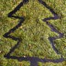 Mulch With Needles