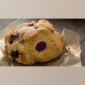 starbucks scone 