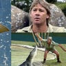 Steve Irwin Sting Ray Attack