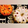 Simply Sparkly Pumpkins