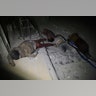 Victims of an alleged chemical weapons attack collapsed on the floor of a building in the rebel-held town of Douma, near Damascus, Syria.