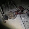 Victims of an alleged chemical weapons attack collapsed on the floor of a building in the rebel-held town of Douma, near Damascus, Syria.
