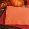 N is for napkins. Take your fancy paper plates and add a touch of holiday spirit with Thanksgiving themed napkins.