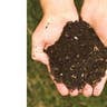 Create Optimal Conditions with Compost
