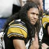 Troy Polamalu