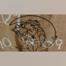vineryard2