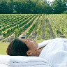 winespasgayotcover