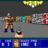 Wolfenstein 3D