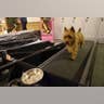 Working Out