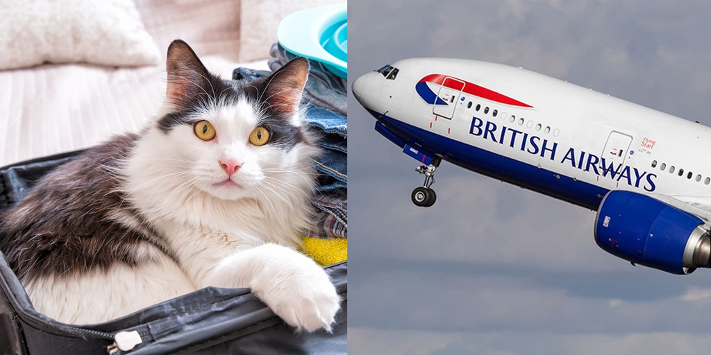 British airways sale pet cargo