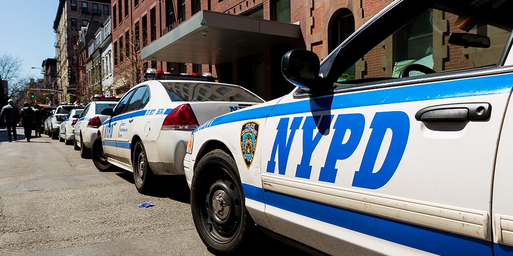 NYC Teen who allegedly shot cop is back in jail: report - Vimarsana News