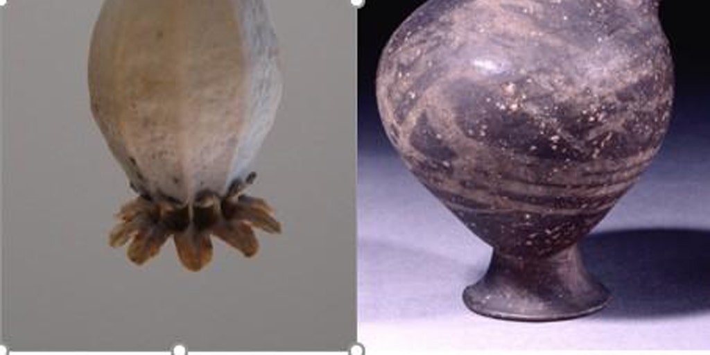 Ancient 3,000-year-old container found with traces of opium | Fox News