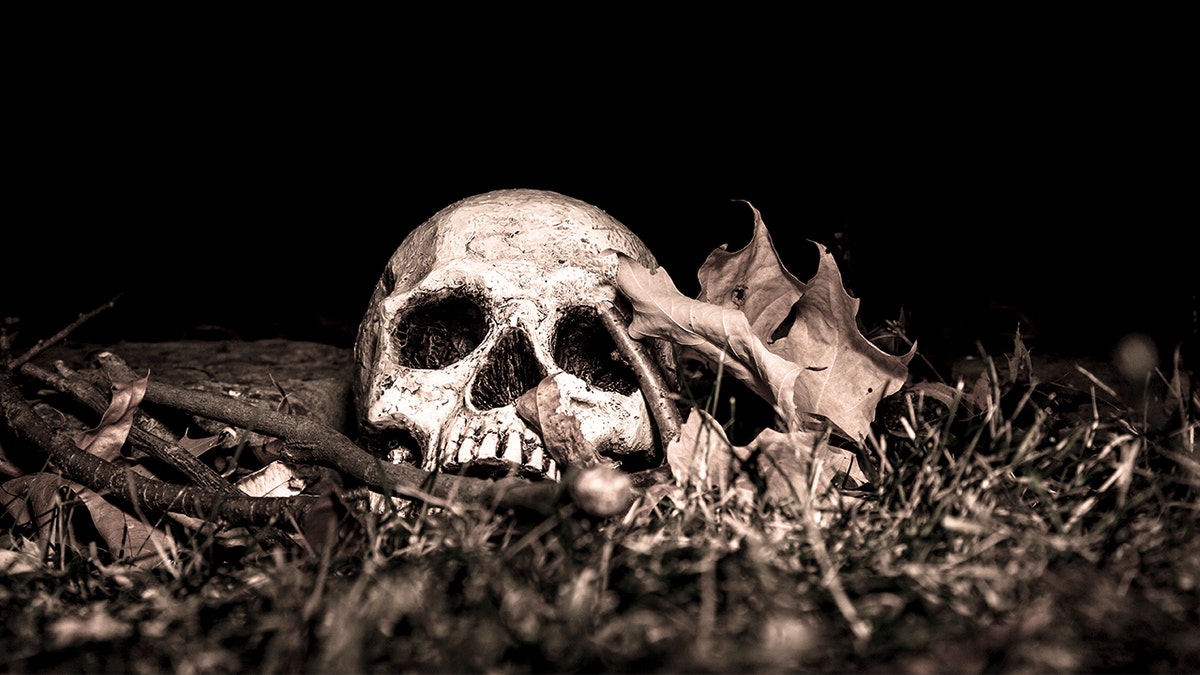 One man's Halloween decorations were so realistic, someone called 911.