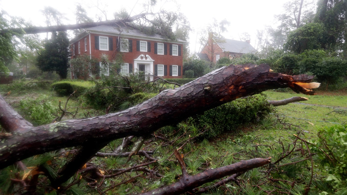 Toppled trees land in the yard and on a home in Wilmington, North Carolina, after Hurricane Florence made landfall. In the storm-weary Carolinas, Hurricane Michael’s approach was stoking fresh fears among homeowners with tarps still covering their roofs or industrial dehumidifiers drying their floors weeks after Florence blew through.