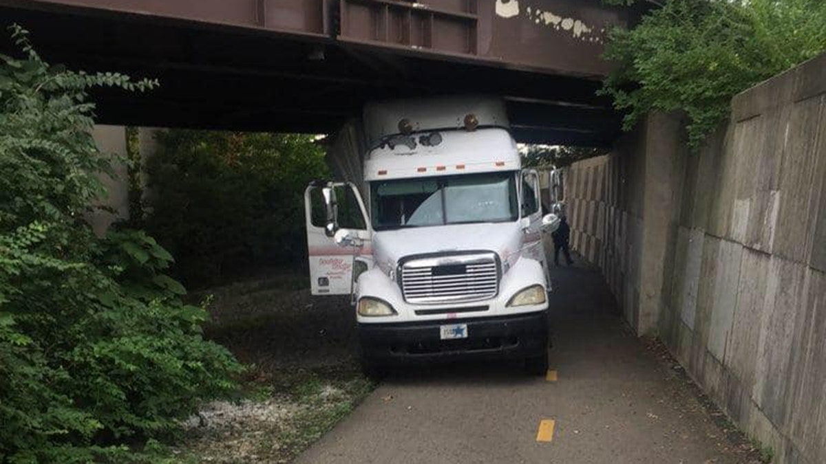 A truck driver was cited after hitting several bridges in Ohio on Thursday morning, police said.