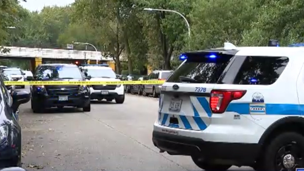 Douglass Watts, 73, was shot and killed Sunday morning in the Rogers Park neighborhood on Chicago's North Side while walking his dogs.