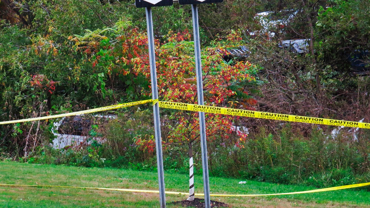 A limousine, left, has landed in the woods following a fatal crash in Schoharie, N.Y. Kim Lisinicchia tells CBS in an interview aired on Wednesday, Oct. 10, that her husband, Scott, had stated several times that he needed a different vehicle but then trusted the company's assurances that its "cars were all right."